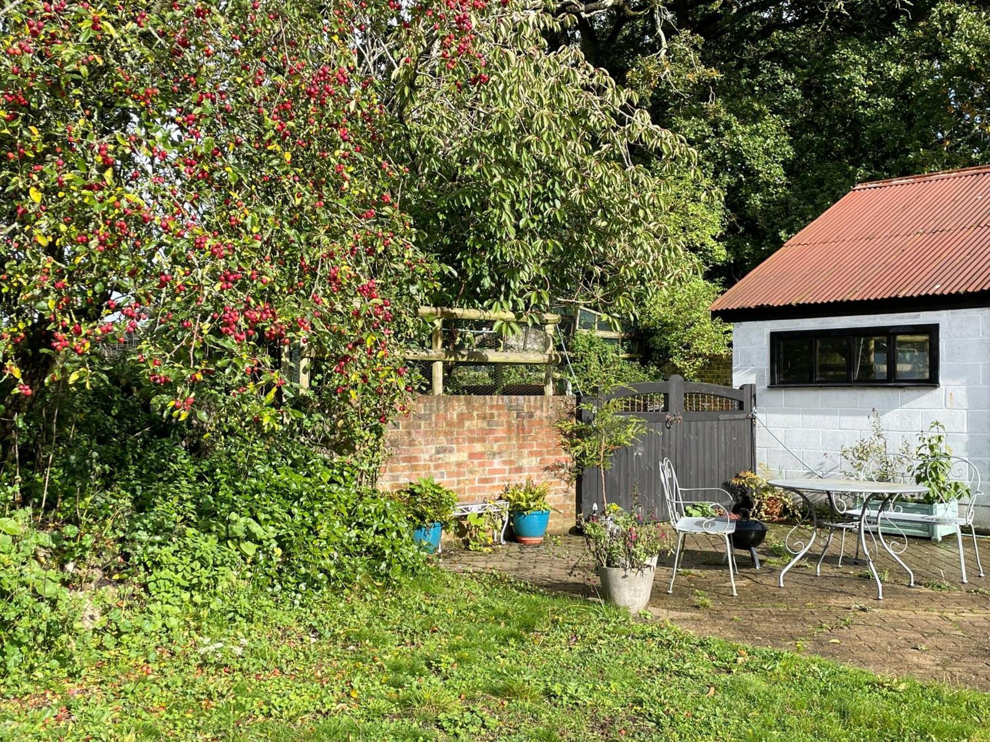 Cottages At Woodlands, Grooms Cottage ويرهام المظهر الخارجي الصورة